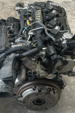 MOTOR TOYOTA M20A COROLLA 2019-2024 Toyota Auris 3 (E210) desde 2018; Toyota Avalon 5 (XX50) desde 2018; Toyota C-HR 1 (AX10) desde 2018; Toyota Camry 8 (XV70) desde 2018; Toyota Corolla 12 (E210) desde 2018; Toyota Corolla Cross 1 (XG10) desde 2020; Toyota Harrier 4 (XU80) desde 2020; Toyota Noah 4 (R90) desde 2022; Toyota RAV4 5 (XA50) desde 2018; Toyota Venza 2 (XU80) desde 2020; Lexus ES200 7 (XZ10) desde 2018; Lexus UX200 1 (ZA10) desde 2018.